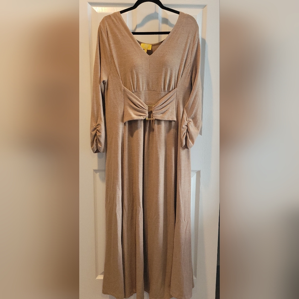 Liz Lange Tan Long Sleeve Dress